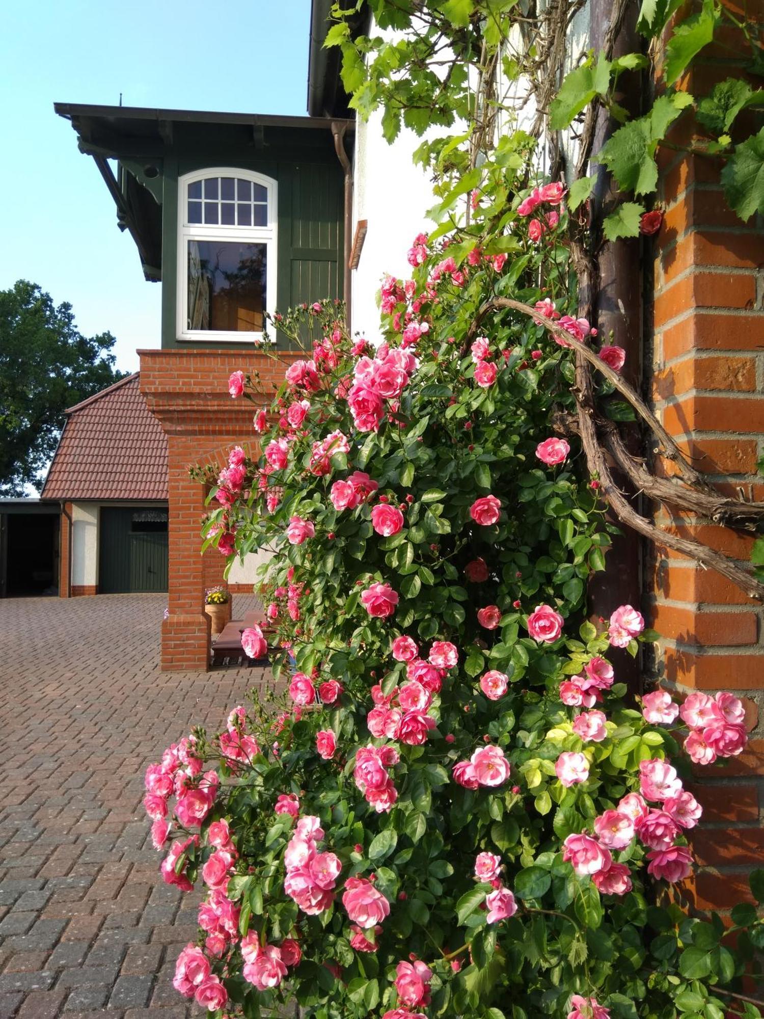 Landtraum Im Traumland Mecklenburg Apartment Warin ภายนอก รูปภาพ