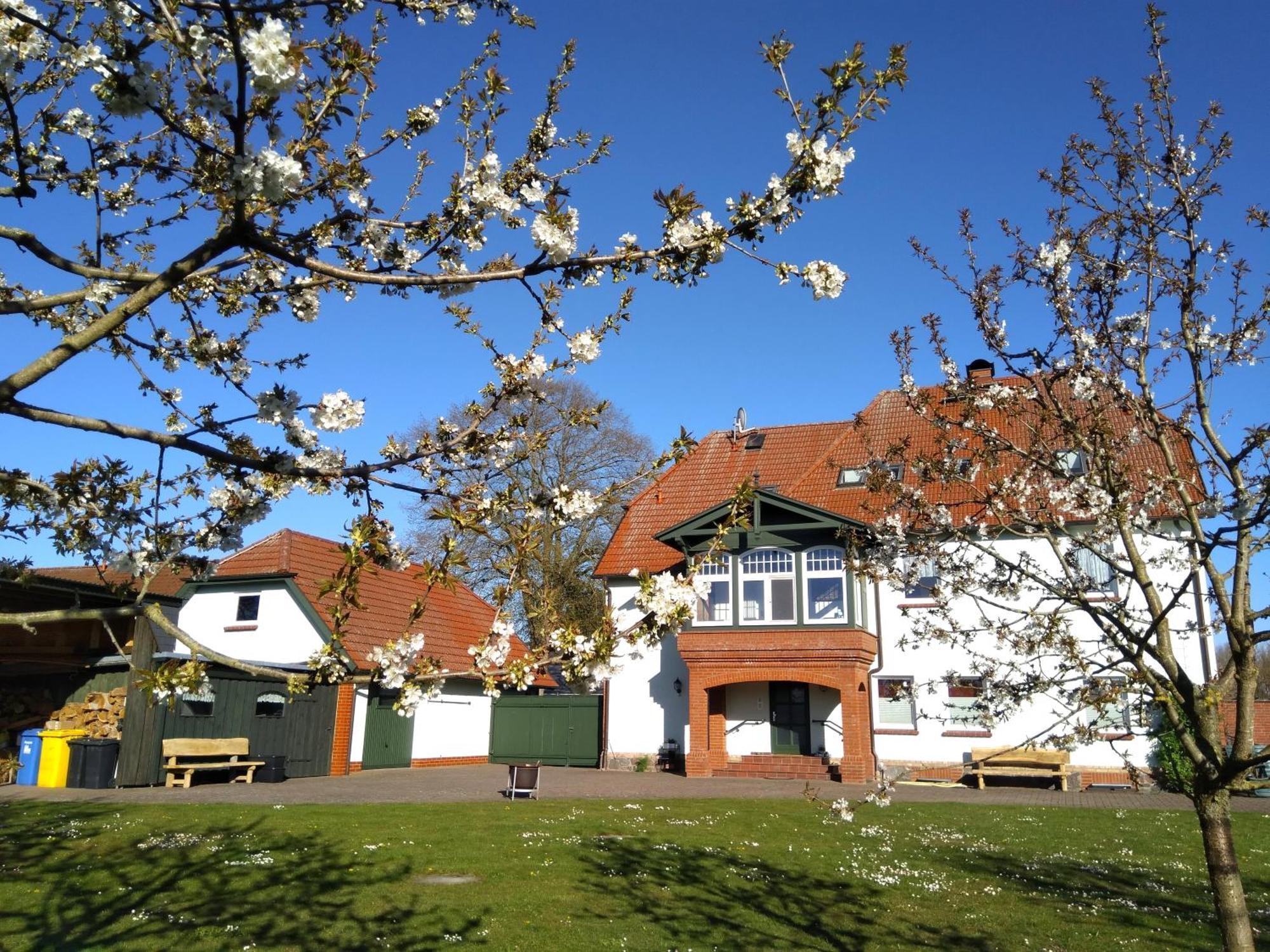 Landtraum Im Traumland Mecklenburg Apartment Warin ภายนอก รูปภาพ